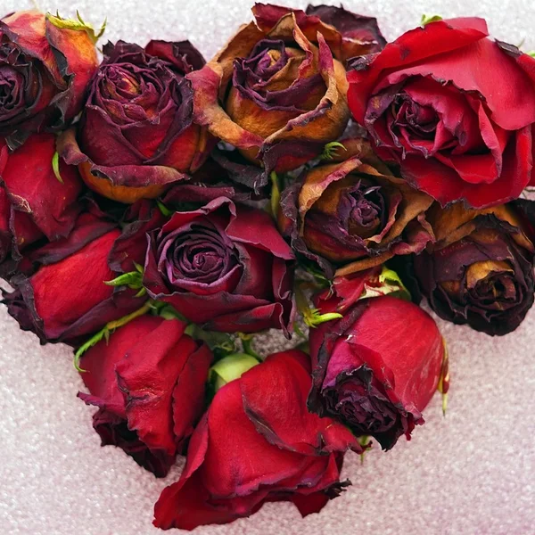 财神捕鱼棋牌游戏